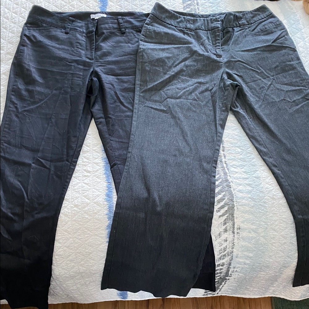 2 pairs New York & Company Slacks size 8